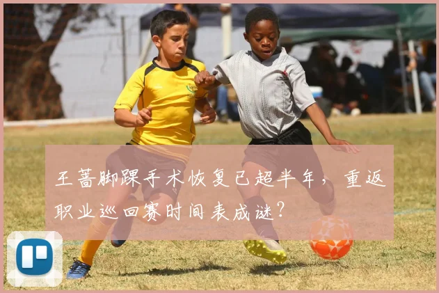 王蔷脚踝手术恢复已超半年，重返职业巡回赛时间表成谜？